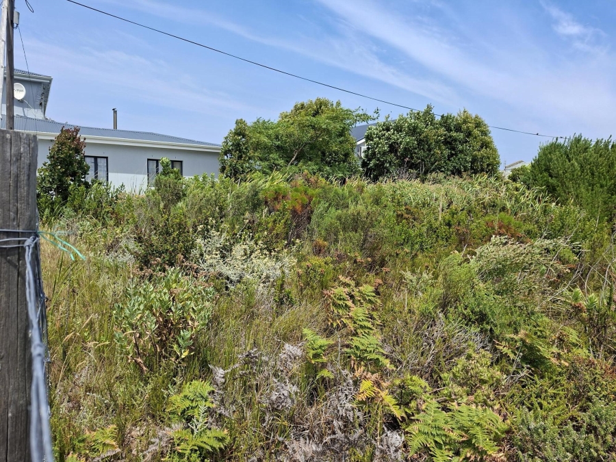 0 Bedroom Property for Sale in Pringle Bay Western Cape